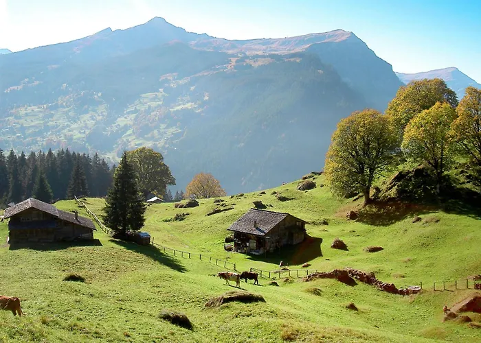 Alpengluehen By Interhome 아파트 그린델발트